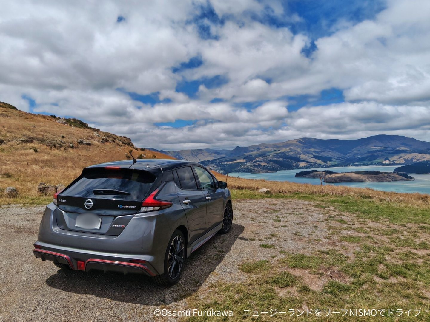ZE1 リーフ Nwe zealand